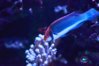 DSC_8012.JPG