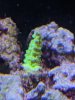PXL_20201122_222255861.MP.jpg