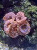 20220625_164456.jpg