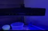 IMG_1544.jpeg