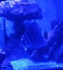 20250723_155338.jpg