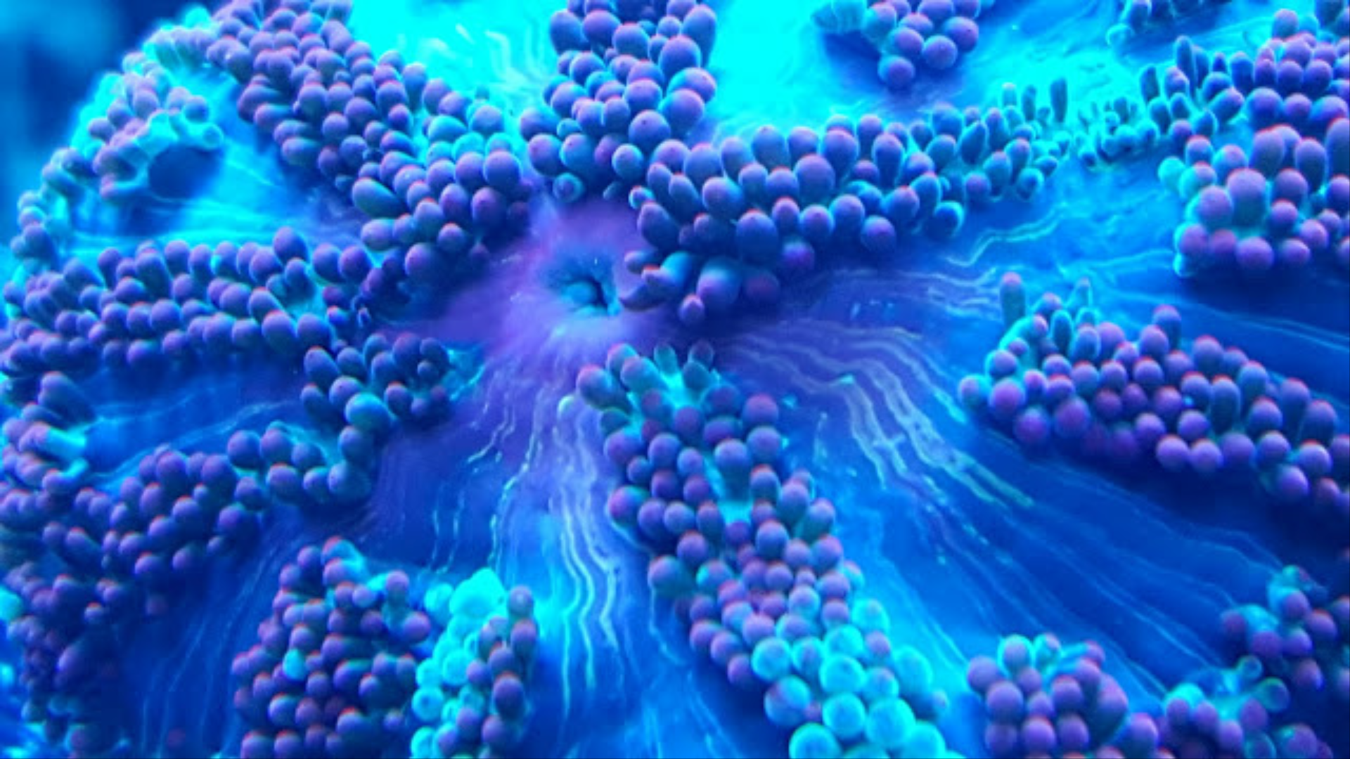 Screenshot_2016-05-16-07-11-33